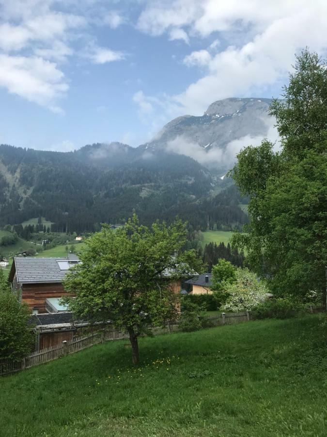 Steuer 59 App 5 Apartment Annaberg im Lammertal Bagian luar foto